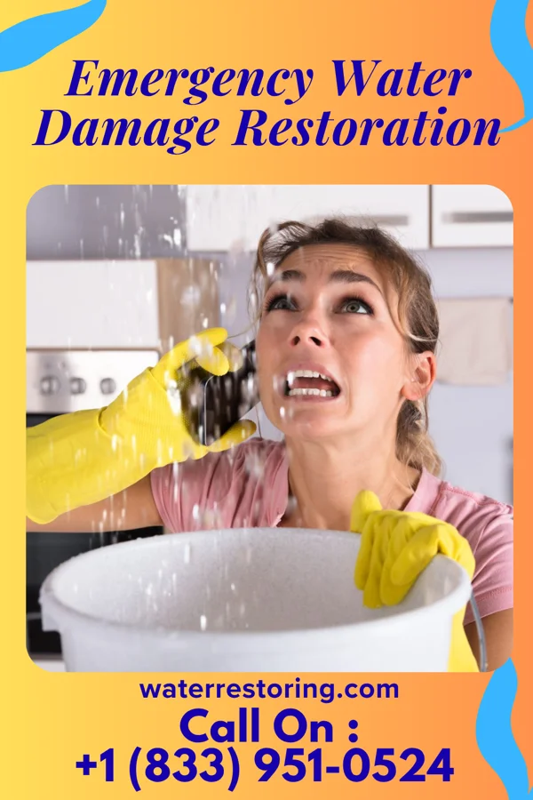Emergency Water Damage Restoration in Southmayd, TX
